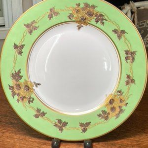 Vintage Czechoslovakian Dinner Plates Set of 12